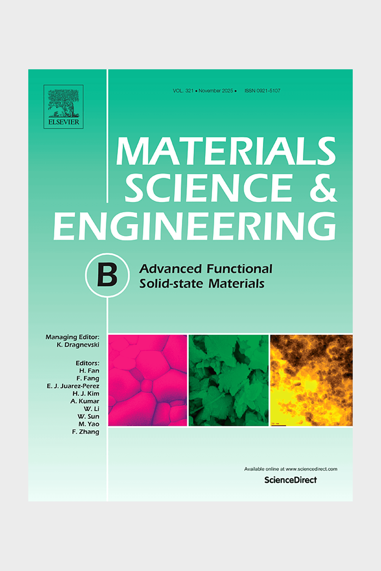 Surface Dopant Concentration Measurement using the Surface Charge Profiler (SCP) Method: Characterization of Hydrogen and Metallic Contamination in Silicon